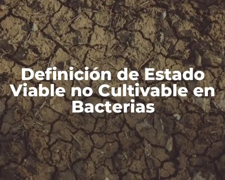 Definición de Estado Viable no Cultivable en Bacterias