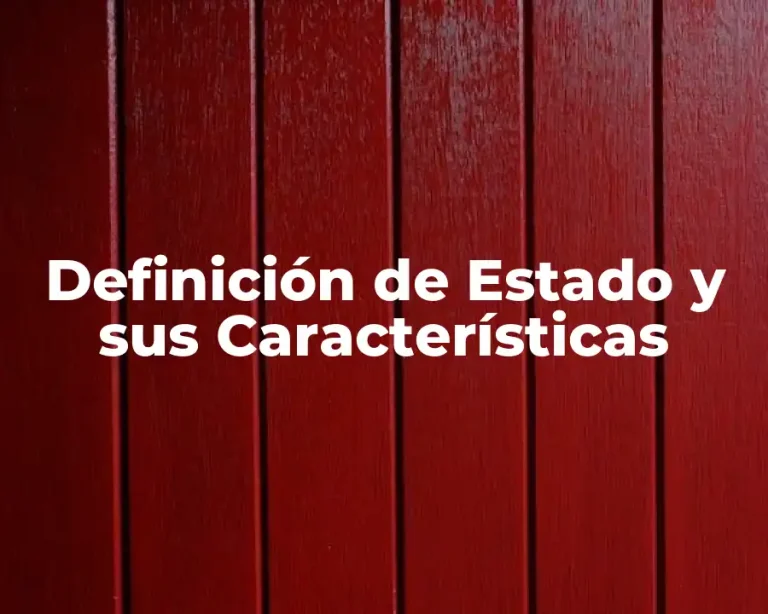 Definición de Estado y sus Características