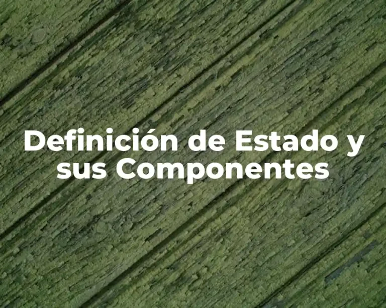 Definición de Estado y sus Componentes
