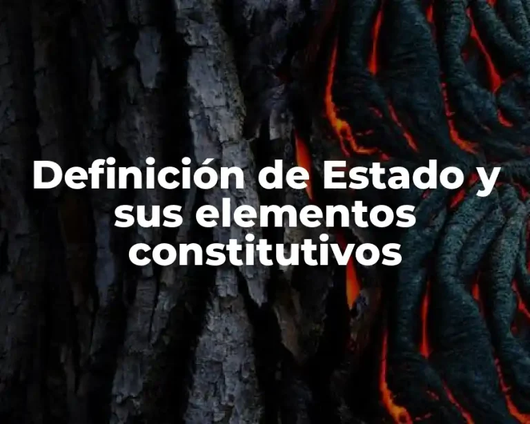 Definición de Estado y sus elementos constitutivos