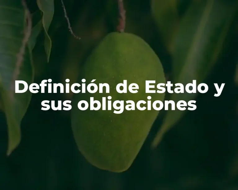 Definición de Estado y sus obligaciones