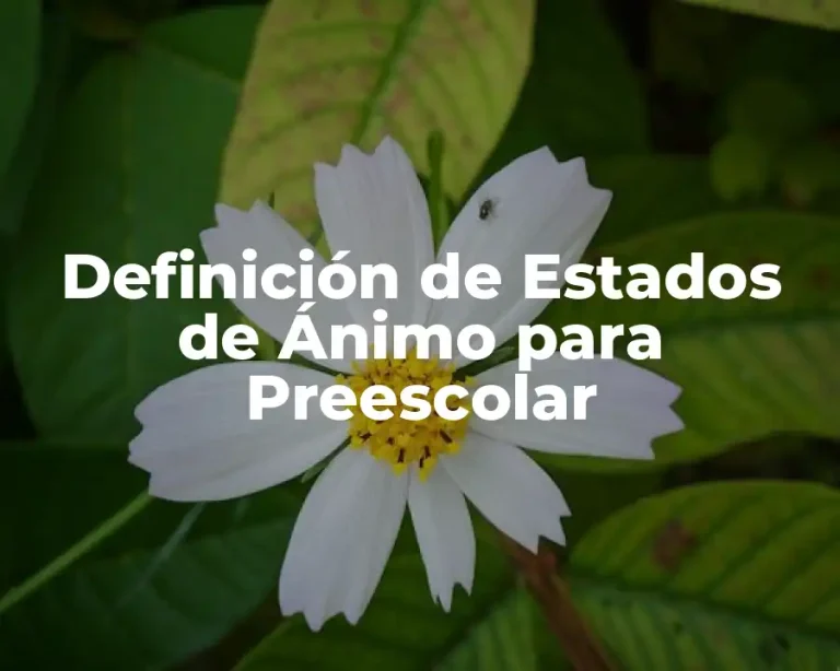 Definición de Estados de Ánimo para Preescolar