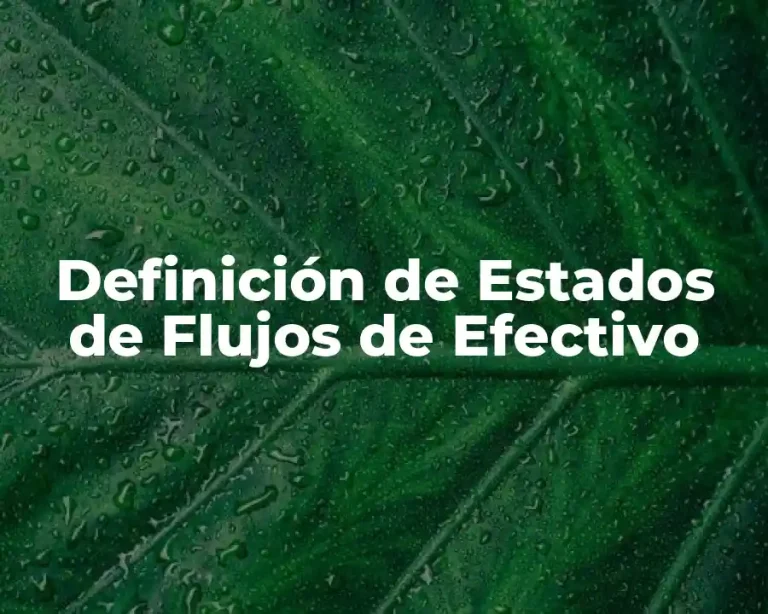 Definición de Estados de Flujos de Efectivo