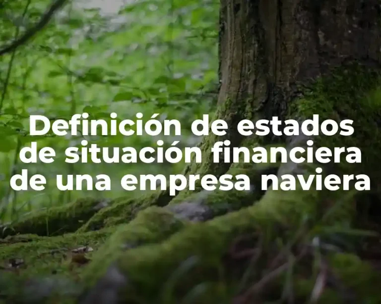 Definición de estados de situación financiera de una empresa naviera