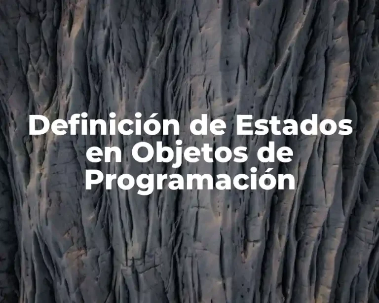 Definición de Estados en Objetos de Programación
