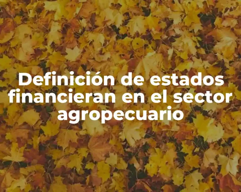 Definición de estados financieran en el sector agropecuario