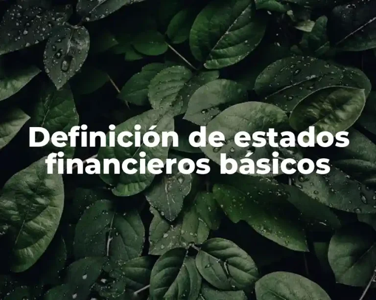 Definición de estados financieros básicos