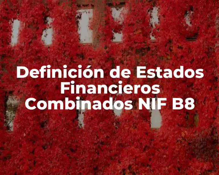 Definición de Estados Financieros Combinados NIF B8