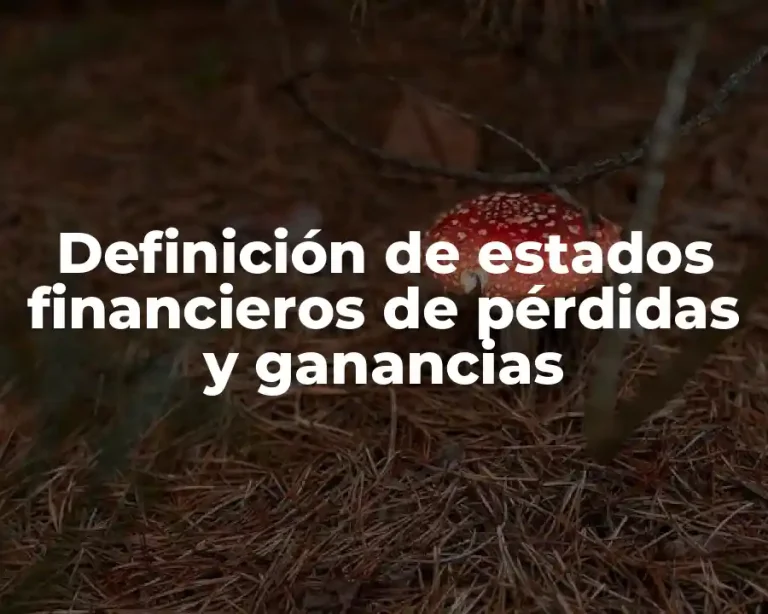 Definición de estados financieros de pérdidas y ganancias