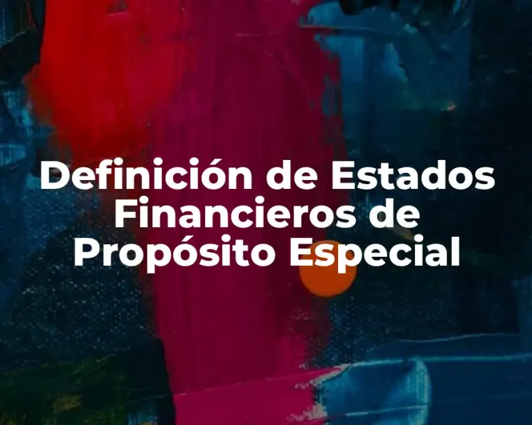 Definición de Estados Financieros de Propósito Especial