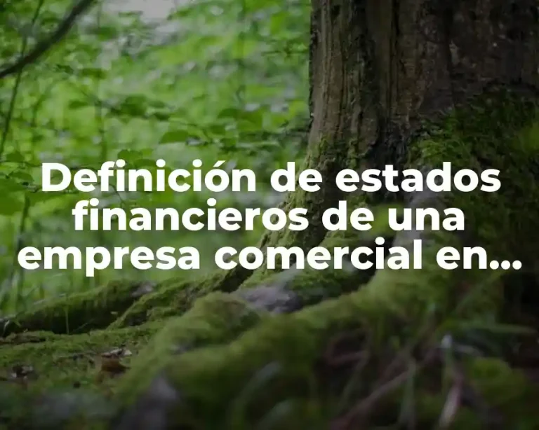 Definición de estados financieros de una empresa comercial en Excel