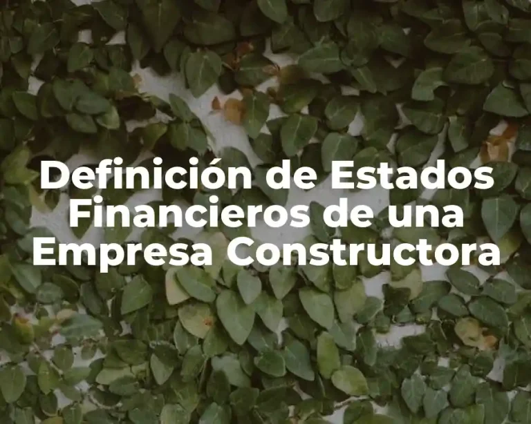 Definición de Estados Financieros de una Empresa Constructora