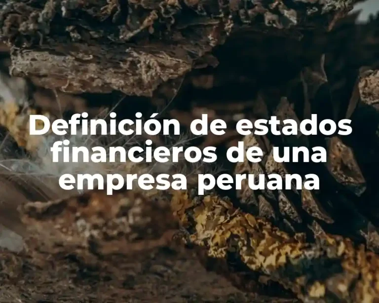 Definición de estados financieros de una empresa peruana