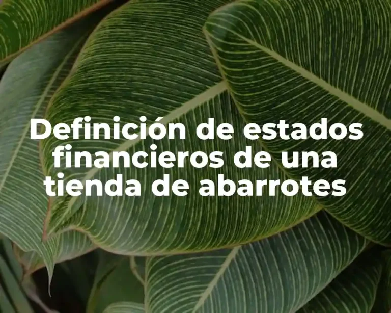 Definición de estados financieros de una tienda de abarrotes