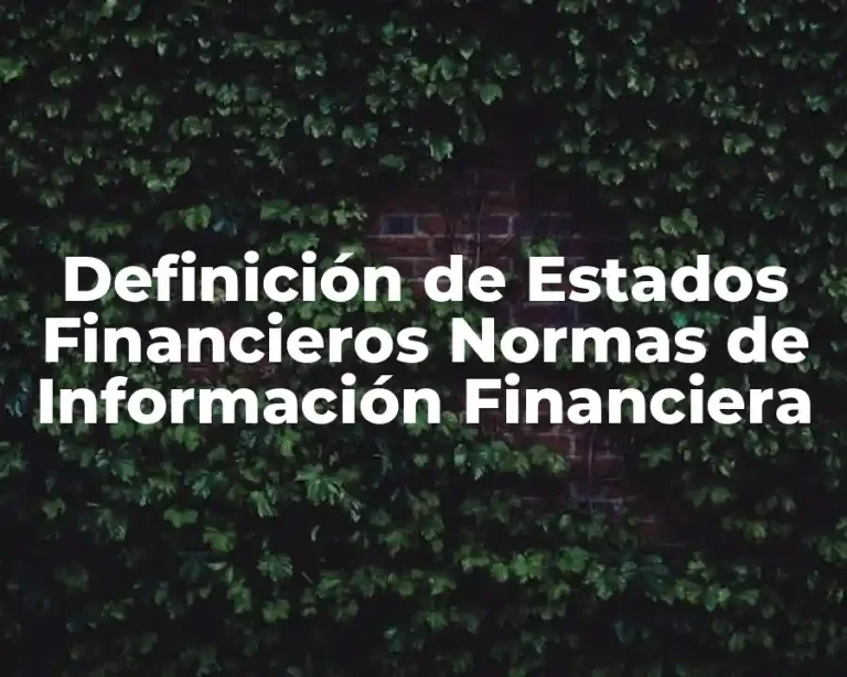 Definición de Estados Financieros Normas de Información Financiera
