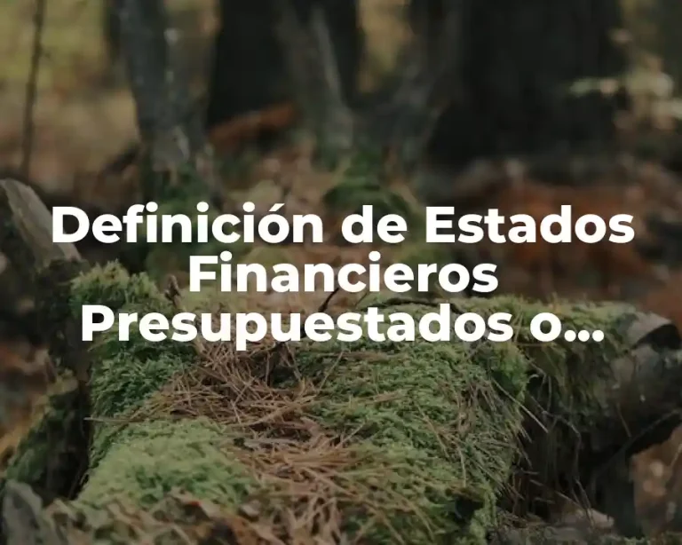 Definición de Estados Financieros Presupuestados o Proforma