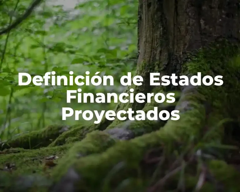 Definición de Estados Financieros Proyectados