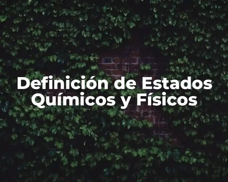 Definición de Estados Químicos y Físicos