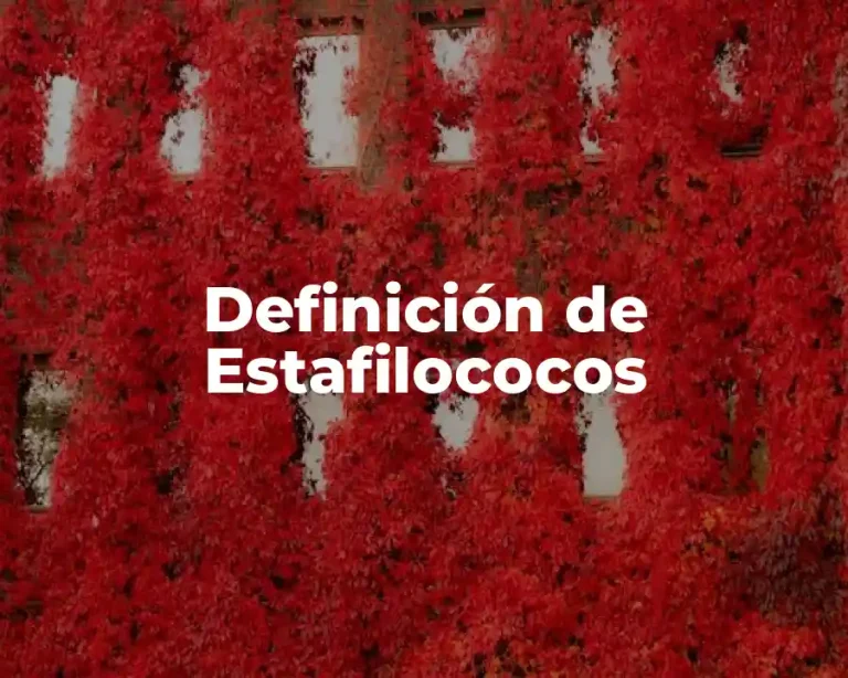 Definición de Estafilococos