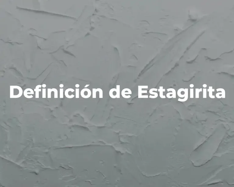 Definición de Estagirita