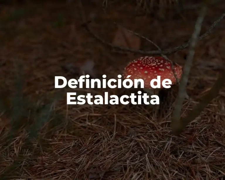 Definición de Estalactita