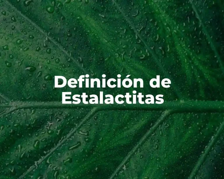 Definición de Estalactitas