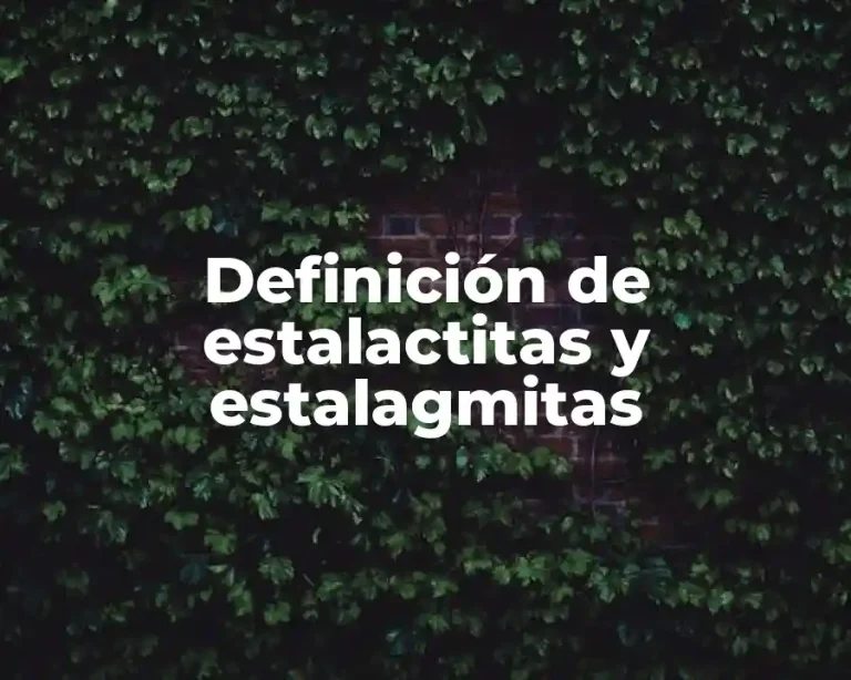 Definición de estalactitas y estalagmitas
