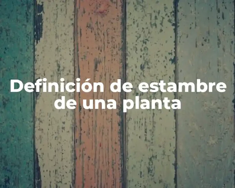 Definición de estambre de una planta