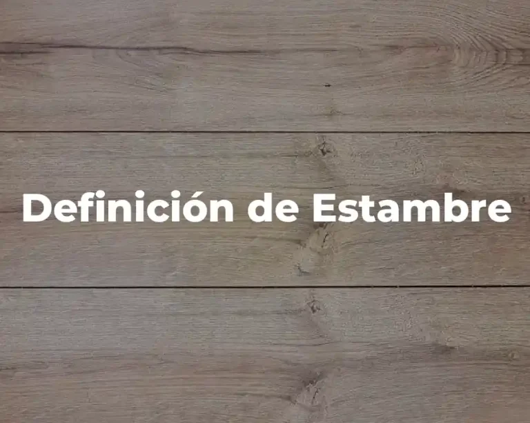 Definición de Estambre