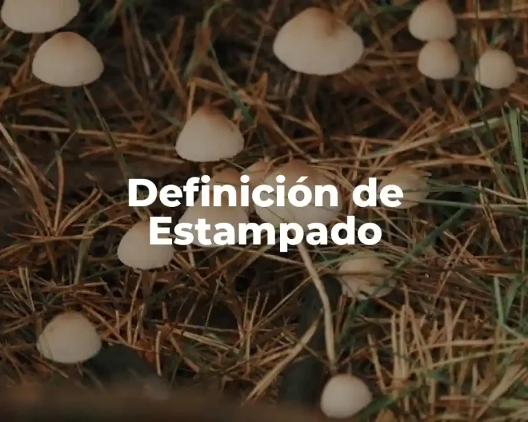 Definición de Estampado
