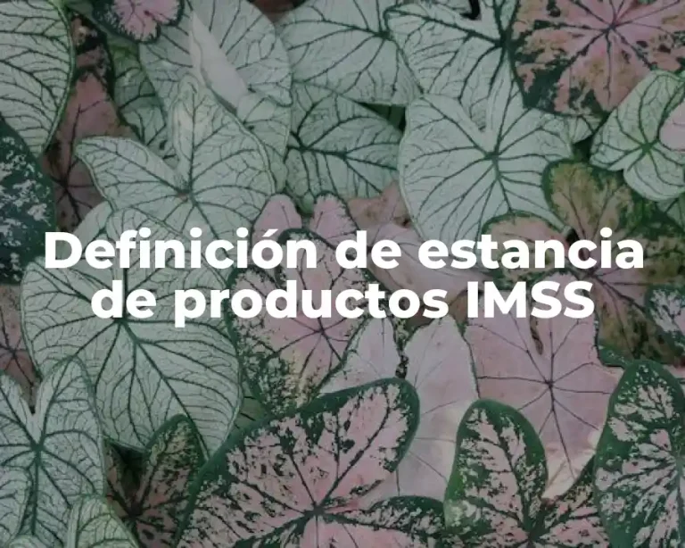 Definición de estancia de productos IMSS