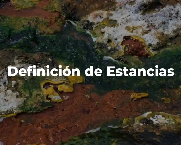 Definición de Estancias