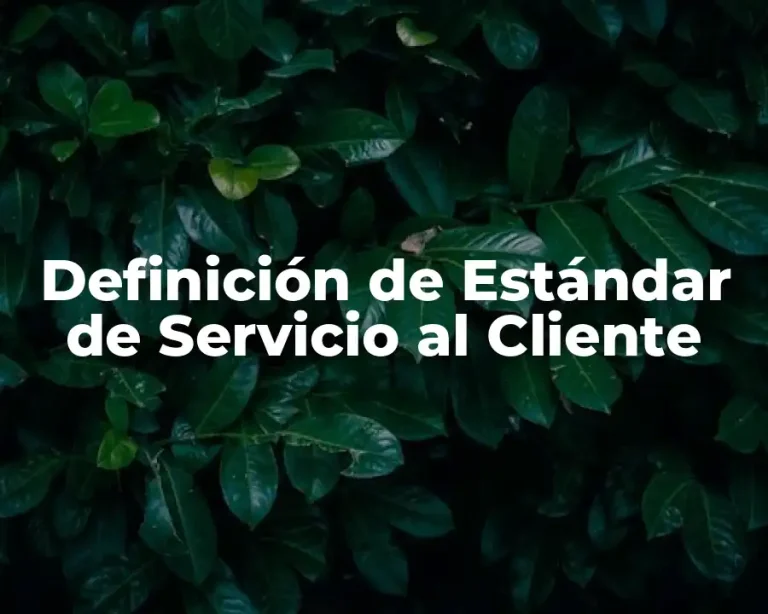 Definición de Estándar de Servicio al Cliente