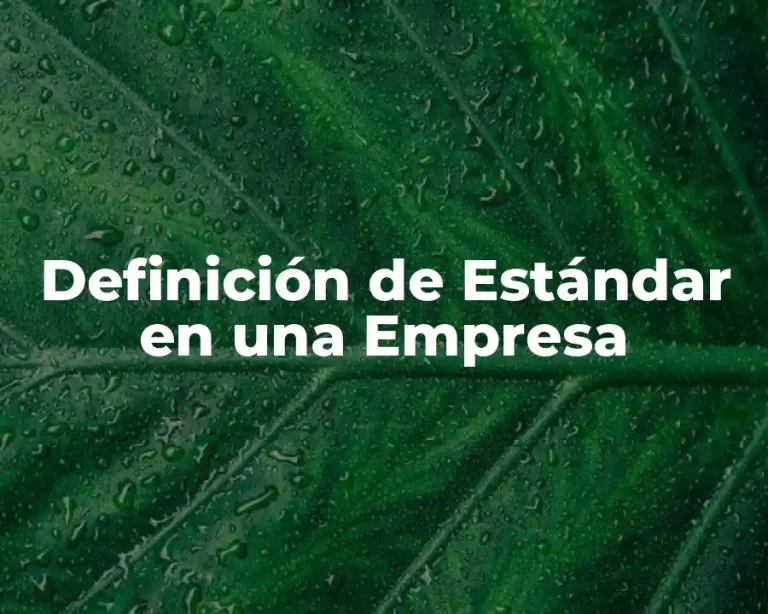 Definición de Estándar en una Empresa