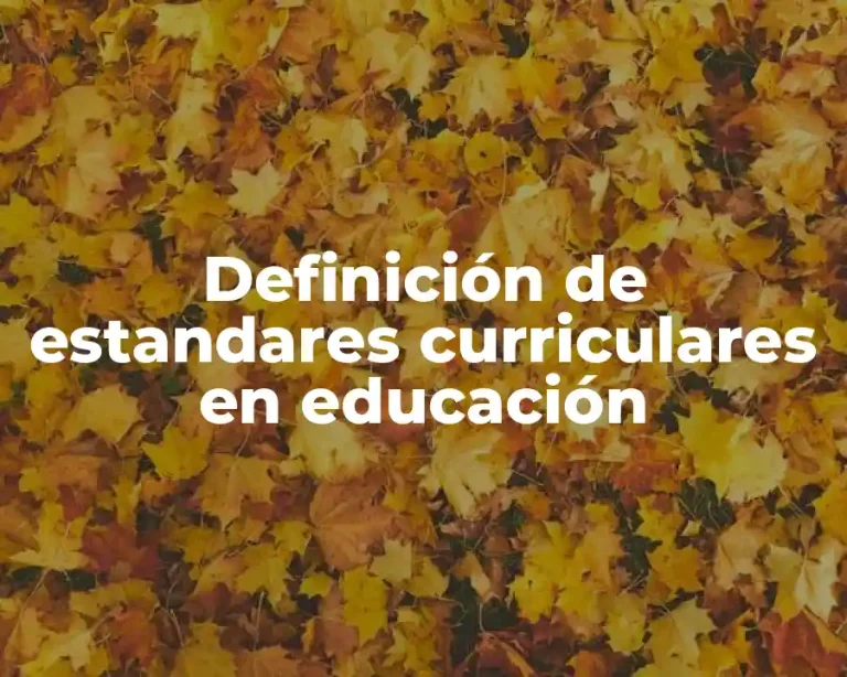 Definición de estandares curriculares en educación