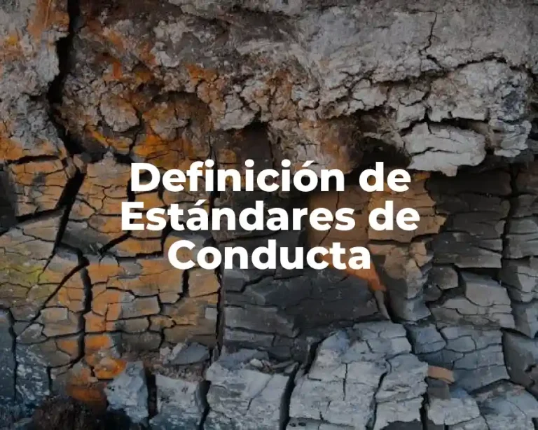 Definición de Estándares de Conducta