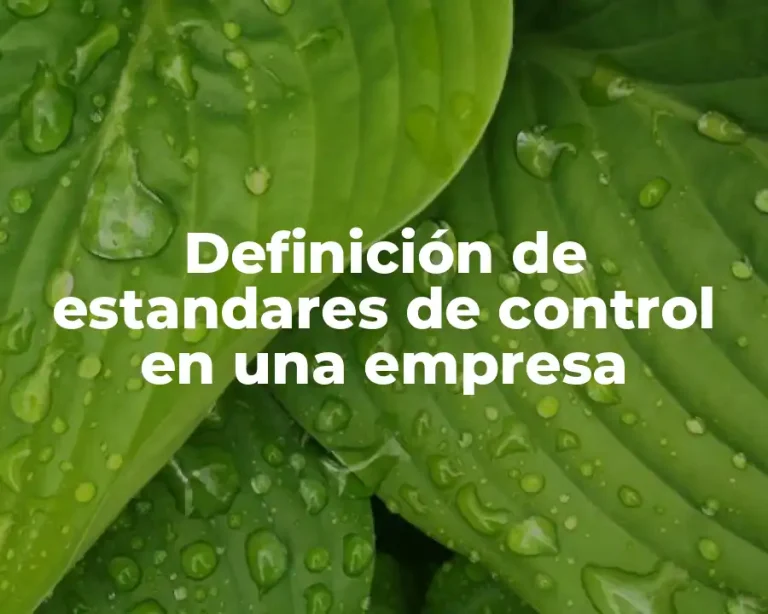 Definición de estandares de control en una empresa
