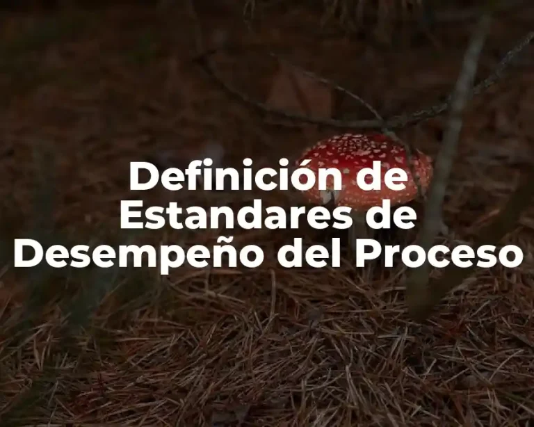Definición de Estandares de Desempeño del Proceso