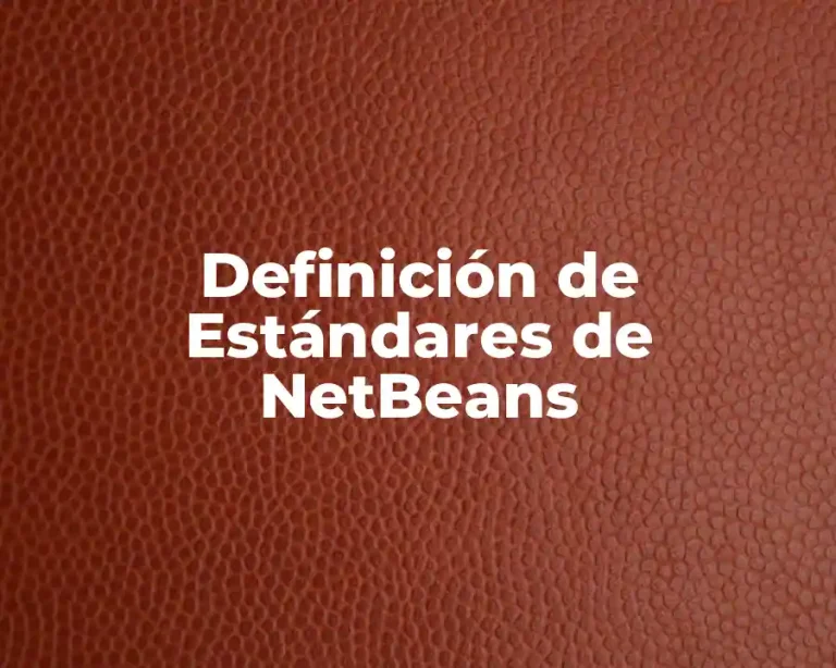 Definición de Estándares de NetBeans