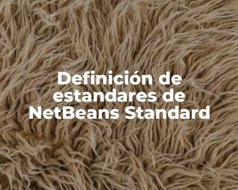 Definición de estandares de NetBeans Standard
