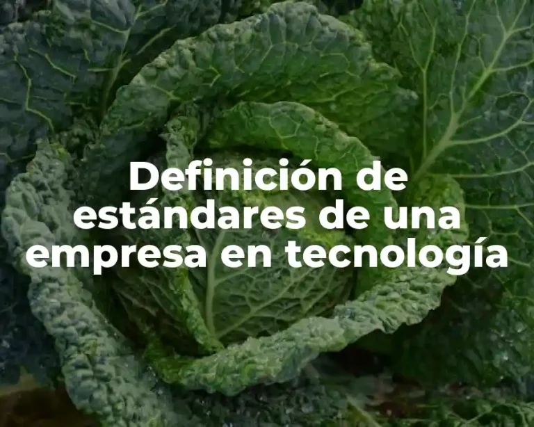 Definición de estándares de una empresa en tecnología