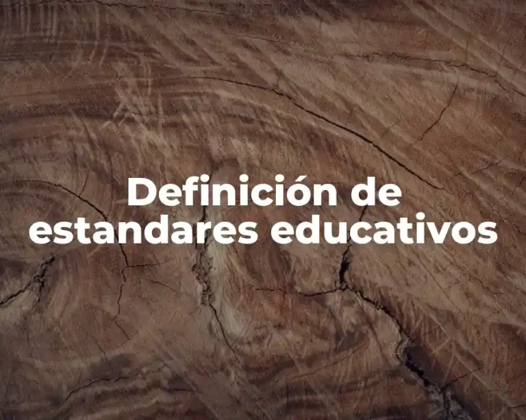 Definición de estandares educativos