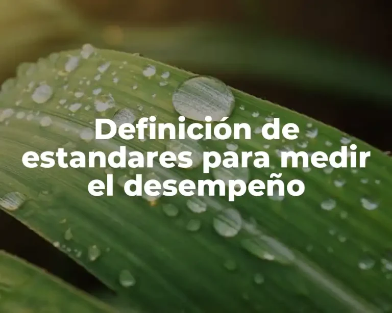 Definición de estandares para medir el desempeño