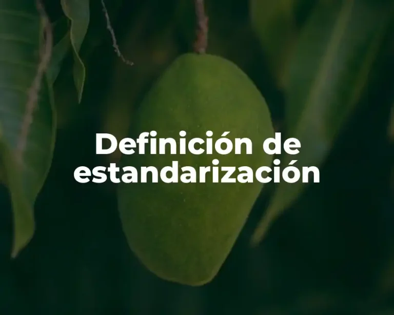 Definición de estandarización