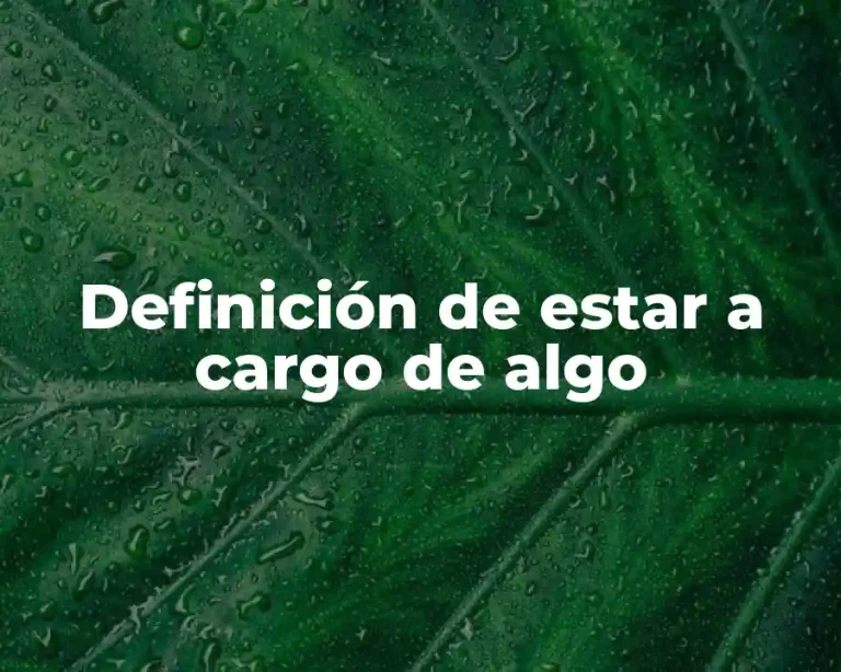 Definición de estar a cargo de algo