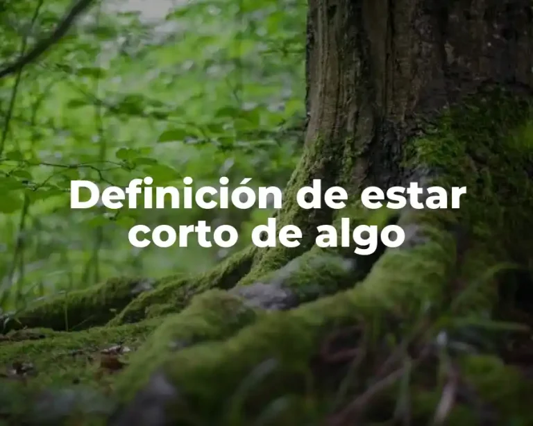 Definición de estar corto de algo