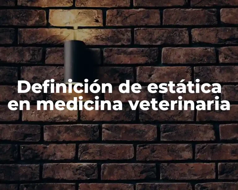 Definición de estática en medicina veterinaria
