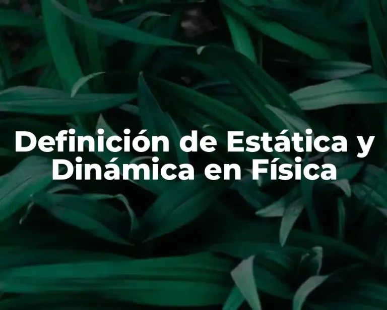 Definición de Estática y Dinámica en Física