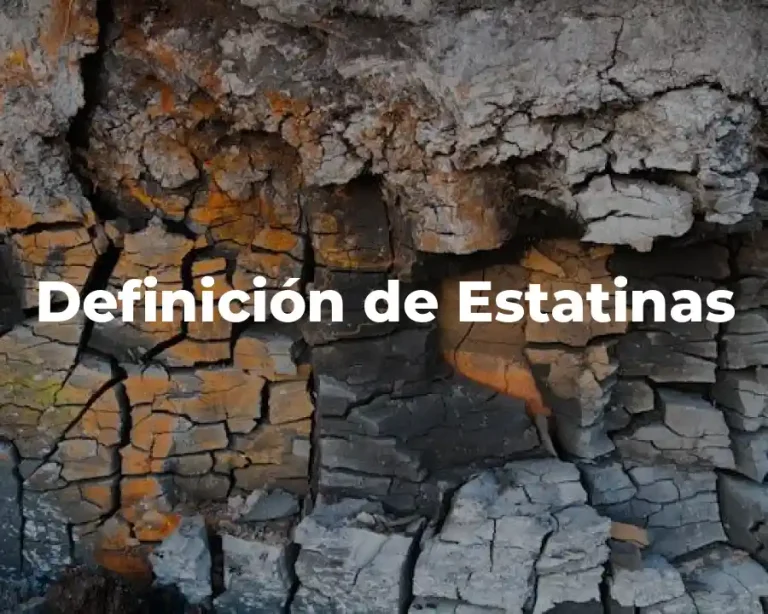 Definición de Estatinas