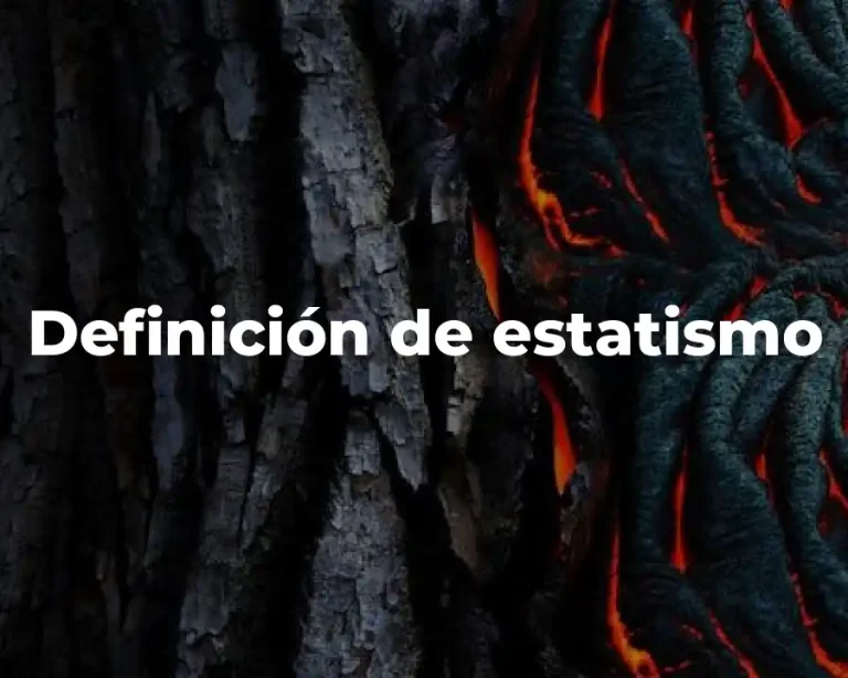 Definición de estatismo